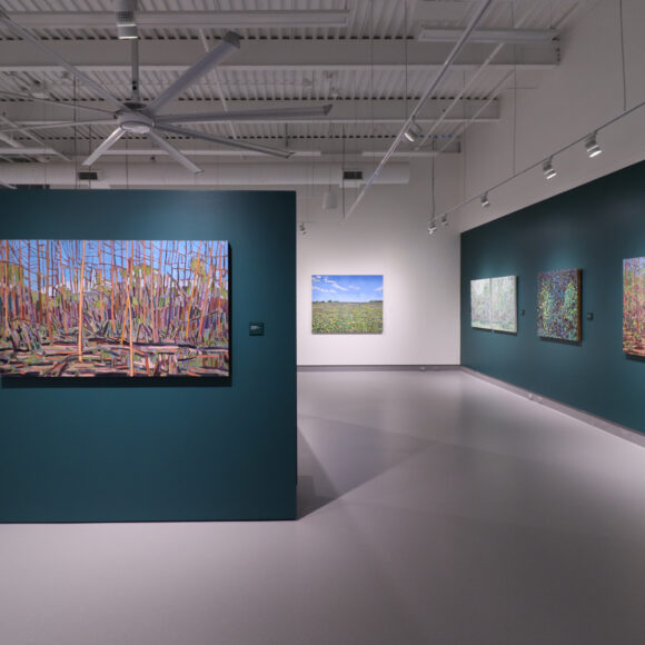 of light and air | Bewabon Shilling