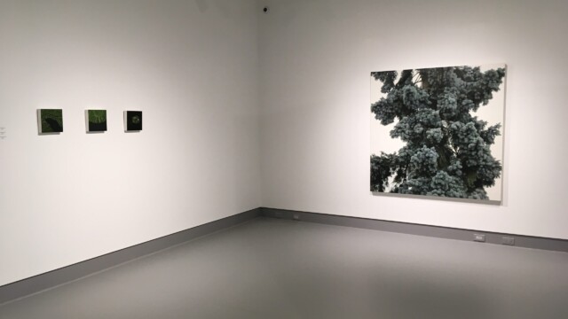 Melissa Doherty: Losing Ground | Latcham Art Centre 2019