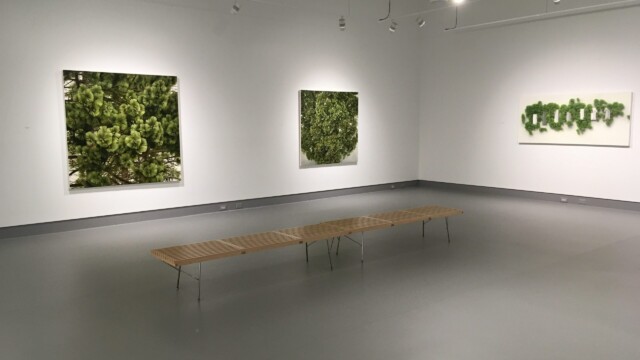 Melissa Doherty: Losing Ground | Latcham Art Centre 2019