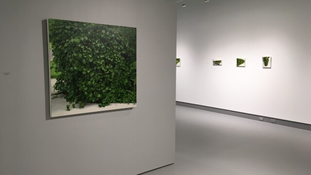 Melissa Doherty: Losing Ground | Latcham Art Centre 2019