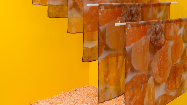 Inward Identities: Recent Works by Vicky Talwar | Latcham Art Centre 2021 | Image courtesy of Dennis Hristovski