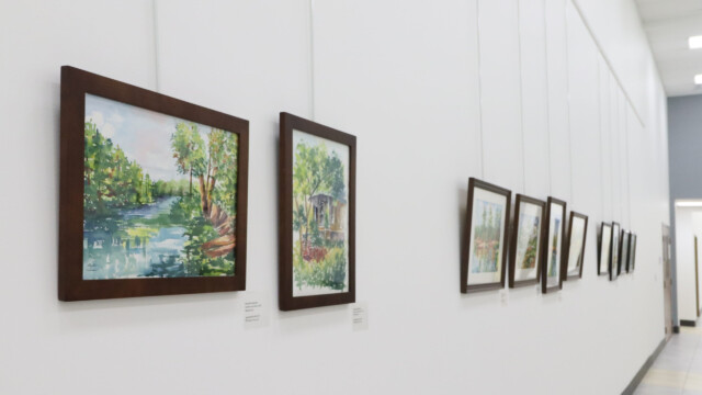 Latcham Art Centre 2024 | Gazaleh Naderian