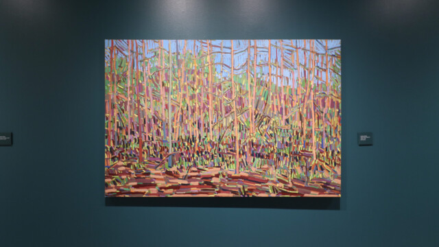 Latcham Art Centre 2025 | Bewabon Shilling