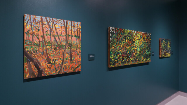 Latcham Art Centre 2025 | Bewabon Shilling