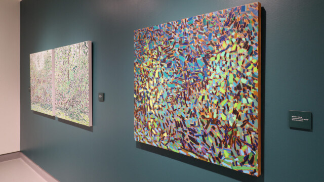 Latcham Art Centre 2025 | Bewabon Shilling