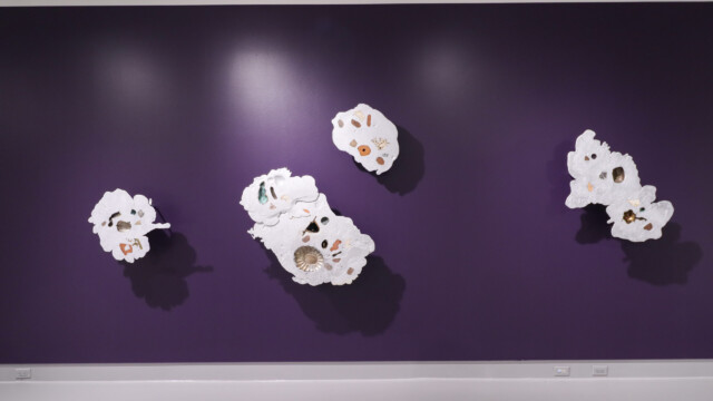 Latcham Art Centre 2025 | Xenolithic : Nicholas Crombach