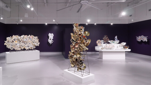 Latcham Art Centre 2025 | Xenolithic : Nicholas Crombach