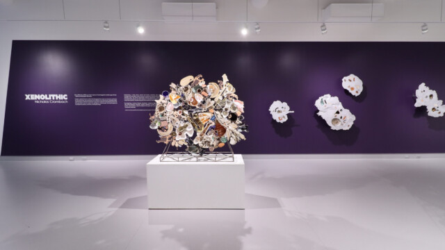 Latcham Art Centre 2025 | Xenolithic : Nicholas Crombach