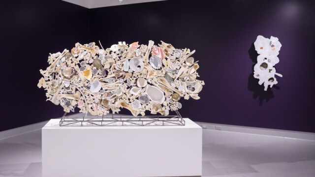 Latcham Art Centre 2025 | Xenolithic : Nicholas Crombach