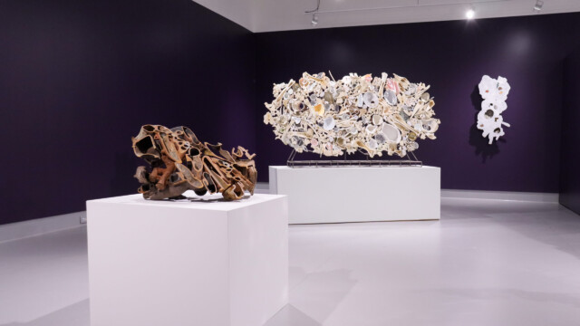 Latcham Art Centre 2025 | Xenolithic : Nicholas Crombach