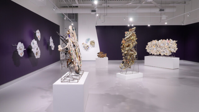 Latcham Art Centre 2025 | Xenolithic : Nicholas Crombach