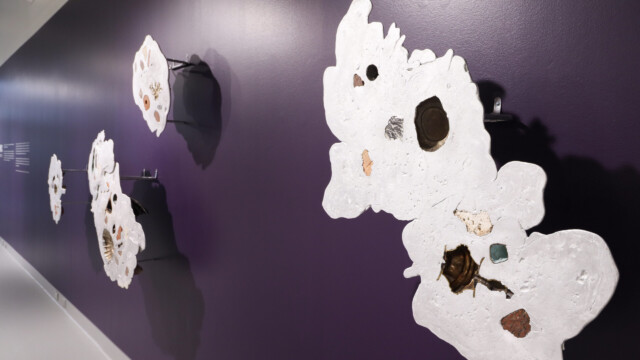 Latcham Art Centre 2025 | Xenolithic : Nicholas Crombach