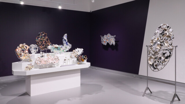 Latcham Art Centre 2025 | Xenolithic : Nicholas Crombach